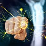 Web Network Technology