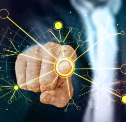Web Network Technology