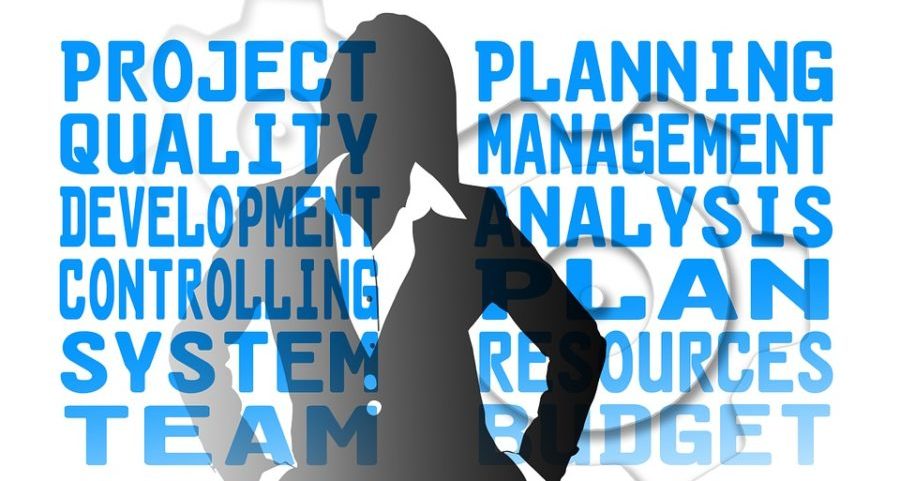 Project & program management Office
